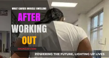 Understanding Post-Workout Muscle Swelling: Causes and Recovery Tips