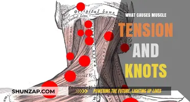 Unraveling Muscle Tension: Causes of Knots and Tightness Explained