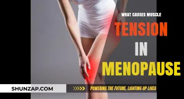 Menopause and Muscle Tension: Unraveling the Hormonal Connection
