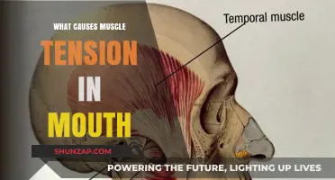 Understanding Jaw Pain: Causes of Muscle Tension in Your Mouth