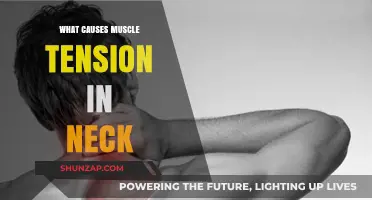 Understanding Neck Muscle Tension: Common Causes and Triggers Explained
