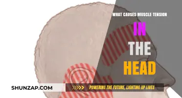 Understanding Head Muscle Tension: Causes and Triggers Explained