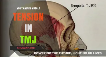 Understanding TMJ Muscle Tension: Causes and Triggers Explained