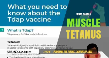 Understanding Muscle Tetanus: Causes, Mechanisms, and Prevention Explained