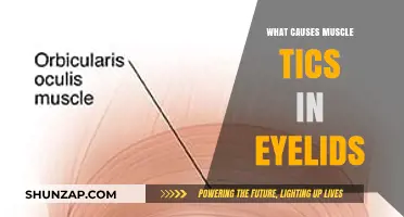 Understanding Eyelid Muscle Tics: Causes and Triggers Explained