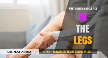 Understanding Leg Muscle Tics: Causes and Potential Triggers Explained
