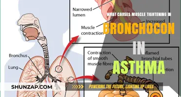 Understanding Asthma: Causes of Muscle Tightening in Bronchoconstriction