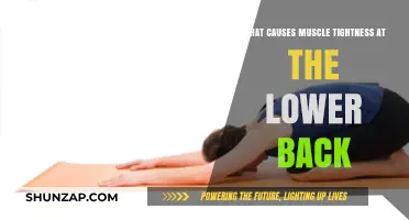 Understanding Lower Back Muscle Tightness: Causes and Prevention Tips
