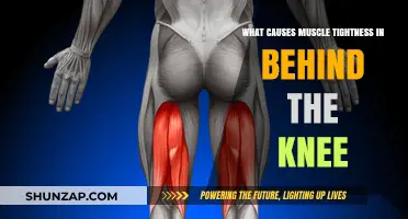 Understanding Causes of Muscle Tightness Behind the Knee