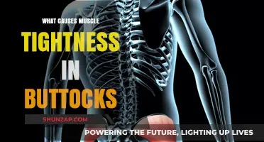 Understanding Buttock Muscle Tightness: Causes and Effective Relief Strategies