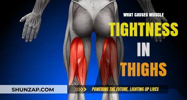 Understanding Muscle Tightness: Causes of Stiff Thigh Muscles Explained