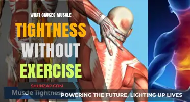 Unraveling Muscle Tightness: Causes Beyond Exercise and Physical Activity