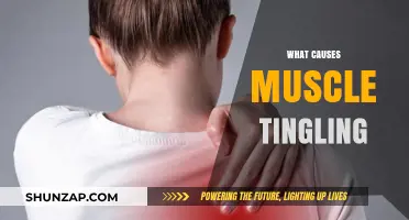 Understanding Muscle Tingling: Causes, Triggers, and When to Seek Help