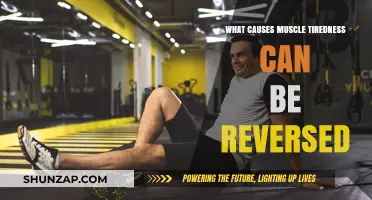 Reversing Muscle Tiredness: Understanding Causes and Effective Recovery Strategies