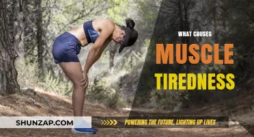 Understanding Muscle Fatigue: Causes and Factors Behind Tired Muscles