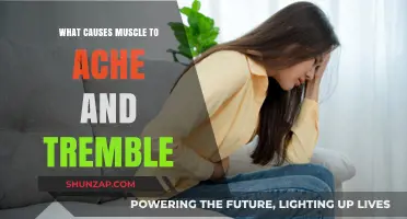 Understanding Muscle Aches and Trembles: Causes and Solutions Explained