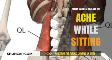Why Muscles Ache While Sitting: Causes and Solutions for Discomfort
