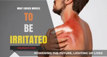 Understanding Muscle Irritation: Causes, Triggers, and Prevention Strategies