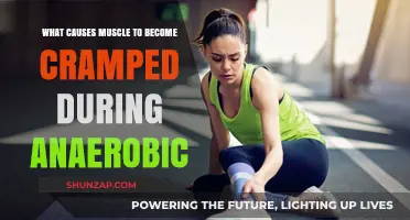 Unraveling Muscle Cramps: Anaerobic Exercise Triggers and Prevention Strategies