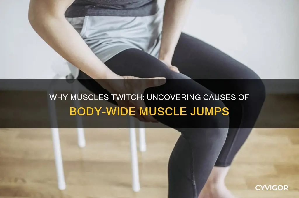 what causes muscle to jump all over the body