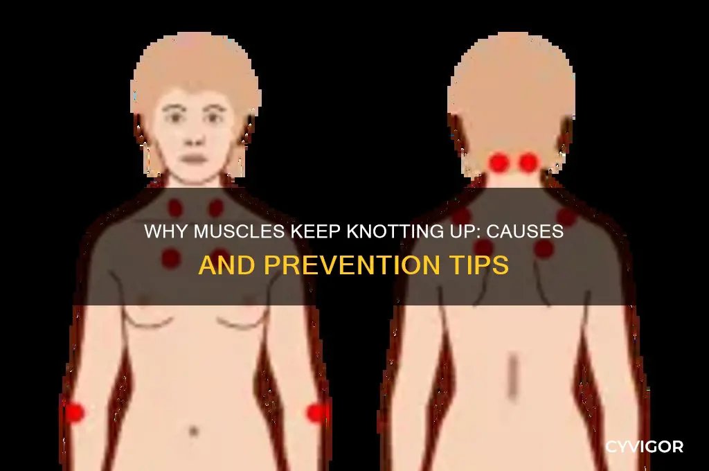 what causes muscle to keep knotting up