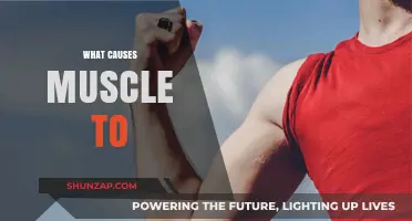 What Causes Muscle Growth, Loss, and Fatigue: Unraveling the Science