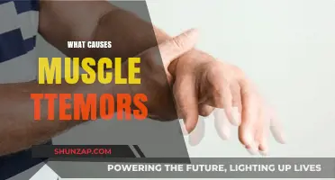 Understanding Muscle Tremors: Causes, Triggers, and Underlying Factors Explained