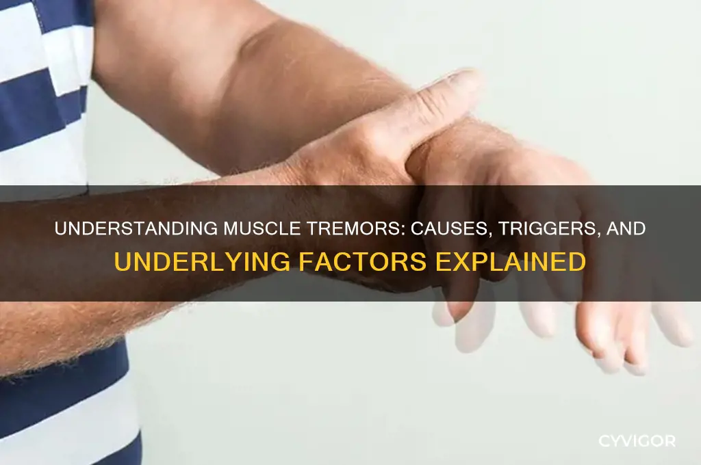 what causes muscle ttemors