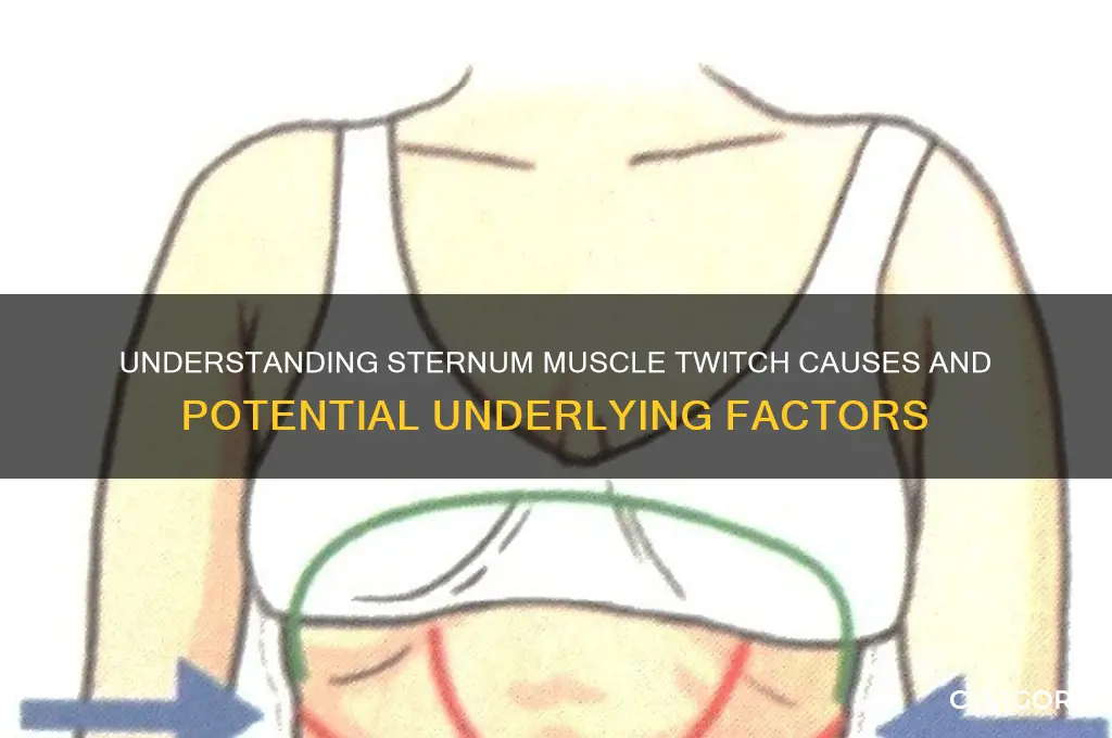 what causes muscle twitch above sternum area