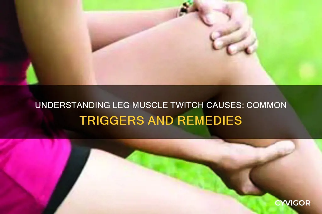 what causes muscle twitch in leg