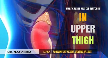 Understanding Upper Thigh Muscle Twitches: Causes and Solutions Explained