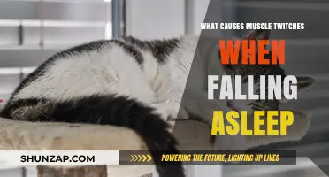 Why Muscles Twitch When Falling Asleep: Causes and Solutions