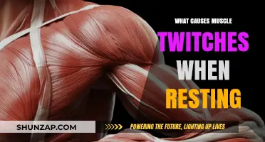 Understanding Resting Muscle Twitches: Causes and Potential Triggers Explained