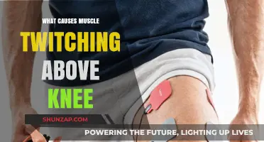 Understanding Muscle Twitching Above the Knee: Causes and Remedies
