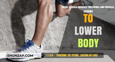 Understanding Lower Body Muscle Twitching and Jerking: Causes Explained
