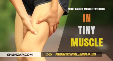 Understanding Tiny Muscle Twitching: Causes and Triggers Explained