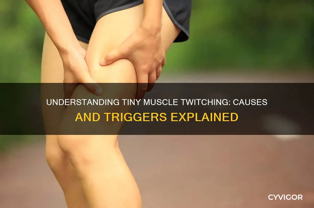 what causes muscle twitching in tiny muscle