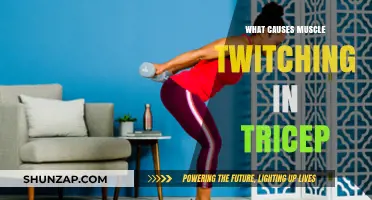 Understanding Tricep Muscle Twitching: Causes and Remedies Explained
