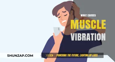 Understanding Muscle Vibration: Causes, Mechanisms, and Potential Triggers