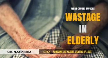 Understanding Muscle Loss: Causes of Elderly Muscle Wastage Explained