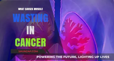 Understanding Cancer-Induced Muscle Wasting: Causes and Mechanisms Explained