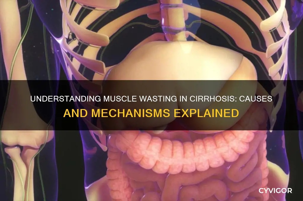 what causes muscle wasting in cirrhosis