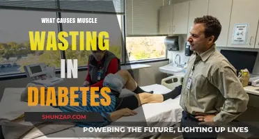 Understanding Muscle Wasting in Diabetes: Causes and Prevention Strategies