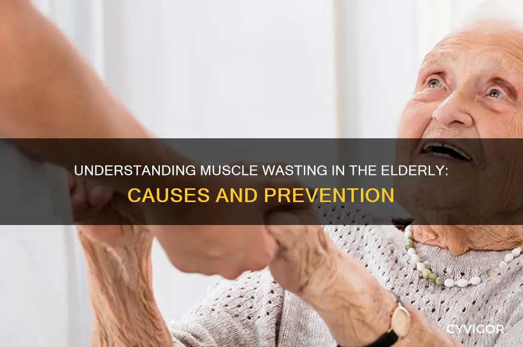 what causes muscle wasting in elderly