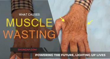 Muscle Wasting: Uncovering the Root Causes