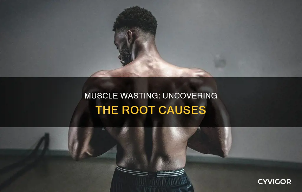 what causes muscle wasting
