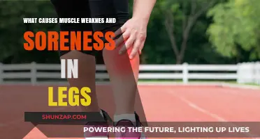 Understanding Leg Muscle Weakness and Soreness: Causes and Solutions