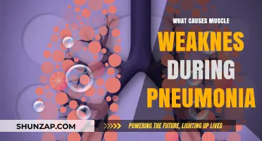 Understanding Pneumonia's Impact: Unraveling the Causes of Muscle Weakness