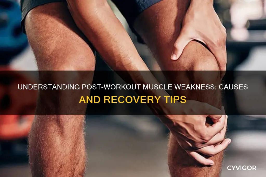 what causes muscle weakness after a workout