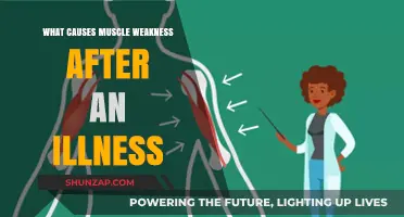Understanding Post-Illness Muscle Weakness: Causes and Recovery Insights